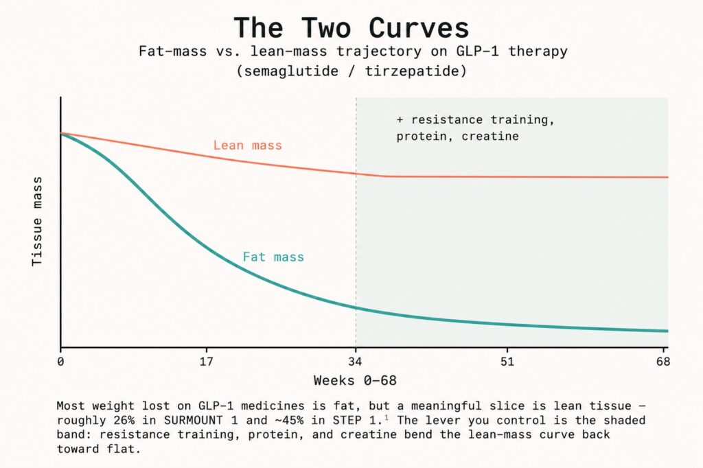 Fat vs lean mass curves 