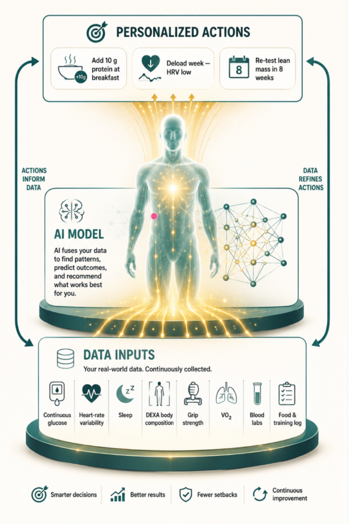 A digital twin is a living model of one person: wearables and labs flow in, an AI
reconciles them into a single picture, and out comes a stream of small, timed,
personalized adjustments — a force multiplier for a good coach, not a replacement for
one.