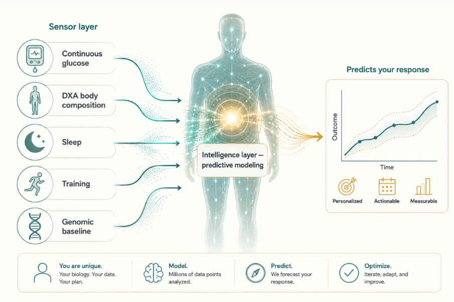 A longevity plan is a system, not a prescription: live data plus your genome feed a predictive model that forecasts how you'll respond — instead of just recording what already happened.